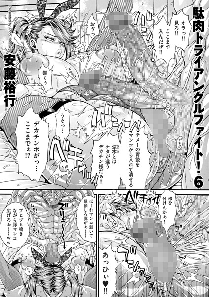 駄肉トライアングルファイト！6